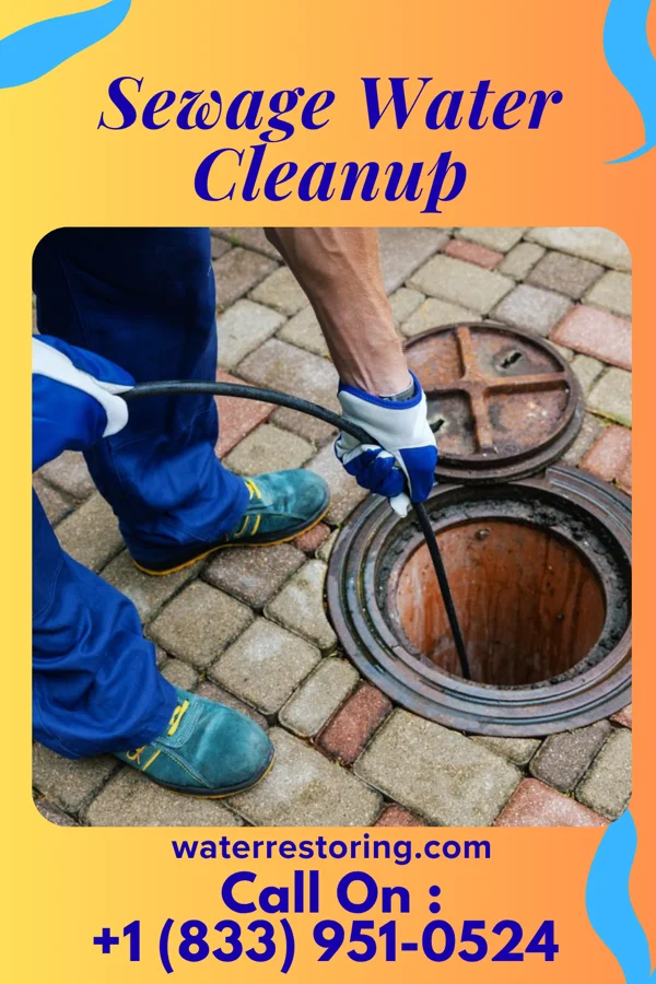 Sewage Water Cleanup in Sandia Heights, NM