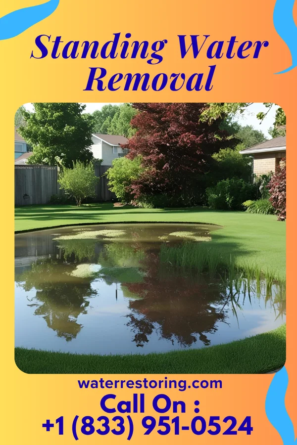 Standing Water Removal in Sandia Heights, NM